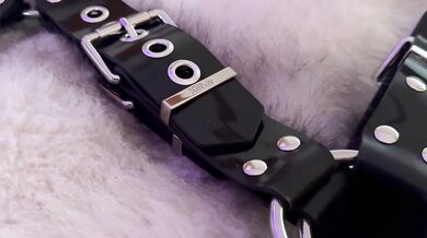 KBboy Silicone Boyd Harness Review: Excellent Quality at a Budget Price
