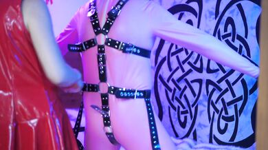 KBboy Silicone Boyd Harness Review: Excellent Quality at a Budget Price