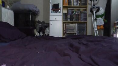 Sexcam entre femmes - Partie 1
