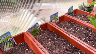 Spring Greenhouse Tour