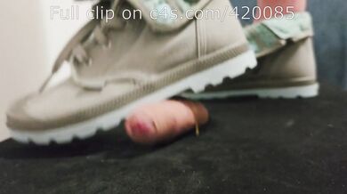 LittleShoes - Palladium Cock Crush POV Size 34 Preview