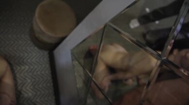 Sofia Webber is hot russian pornstar looking good on fat dick