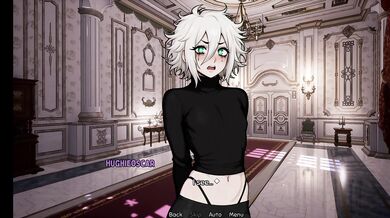 Game for Femboys Amateur 3D