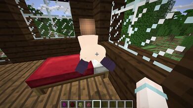 Fucking In Fapcraft