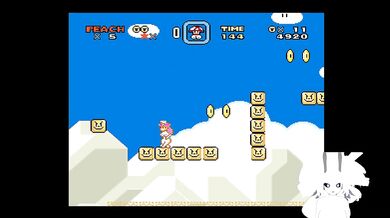 Mario world nude peach mod