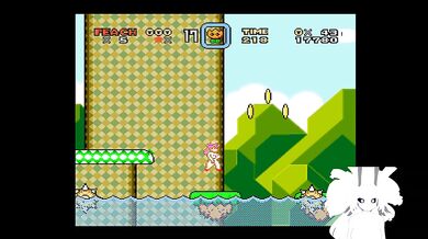 Mario world nude peach mod