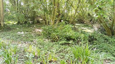 Wild Escape in the Brittany Woods - Outdoor Sex in Nature