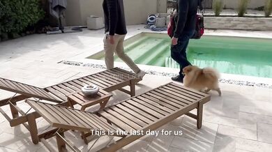 Hard Threesome - Fucked dirty by two friends who came to do work at my place!