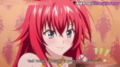 Highschool DXD Christmas Gift