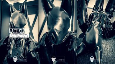 Full Day Total Enclosure Dogsuit Bondage - Part 3