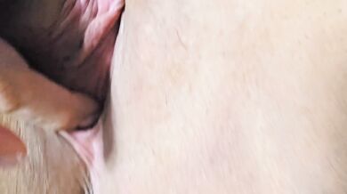 Hard clit pink pussy I'm so horny I cant help it