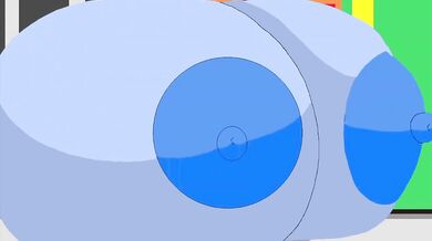 Sibella growing re
