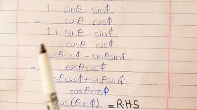 Math Teacher Goes Wild on Calculus Problems