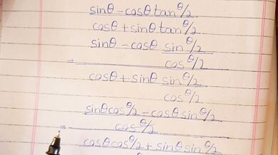 Math Teacher Goes Wild on Calculus Problems
