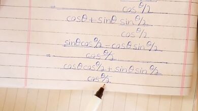 Math Teacher Goes Wild on Calculus Problems