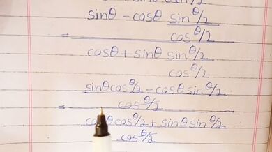 Math Teacher Goes Wild on Calculus Problems