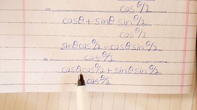 Math Teacher Goes Wild on Calculus Problems