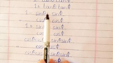 Math Teacher Goes Wild on Calculus Problems