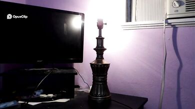 'Add Glamor to Your Space with GE's Decorative G16.5 Medium Base Bulb'