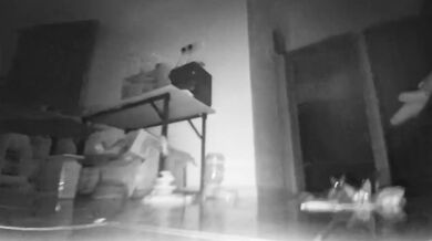Late Night Pussy Surveillance (Caught on Camera)