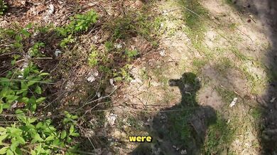 Risky public sex in the woods: I met a stranger and had sex with her. Someone saw us