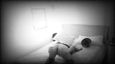 Her cuckolded husband isn't home, and Sofia is throwing a party.