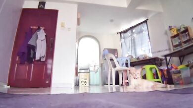 Naked Ginger Pussy Shows Everything on Camera
