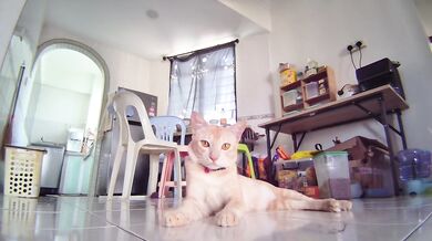 Naked Ginger Pussy Shows Everything on Camera