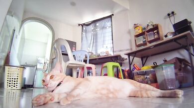 Naked Ginger Pussy Shows Everything on Camera