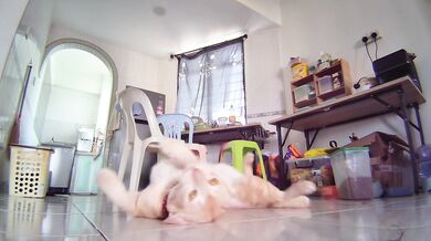 Naked Ginger Pussy Shows Everything on Camera