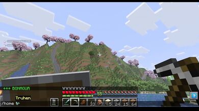 Constructing a mountain trail in Minecraft Day II