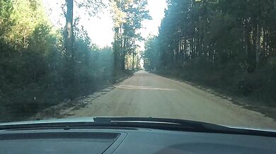 BOUT TO FUCK HIS SEXY HOT WIFE IN THE WOODS!