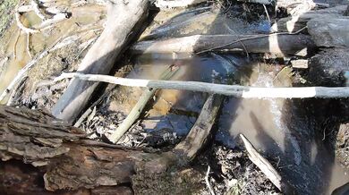 Naked girl crosses a puddle