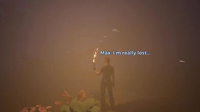 Lost in the Forest - Wildlife Story