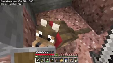 Consiguiendo la Mesa de Encantamientos y Lobos OwlCraft EP 12