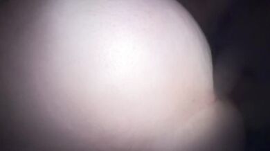 backshotqueen2025's super charged wet pussy fire