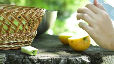 Harvesting Apples & Making Fresh Juice