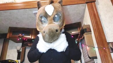 Furry Layering