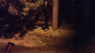 Suegro y nuera infiel después de la fiesta del barrio
