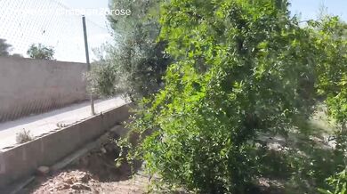 Leg shaking orgasm with water jet lesbian pleasure public caught