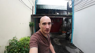Bangkok Cat. Thailand