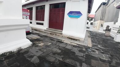 Bangkok Cat. Thailand