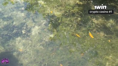 Boat creampie island blowjob POV outdoor risk big ass doggystyle