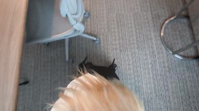 Blonde bimbo secretary with huge tits gags on boss's thick cock at work