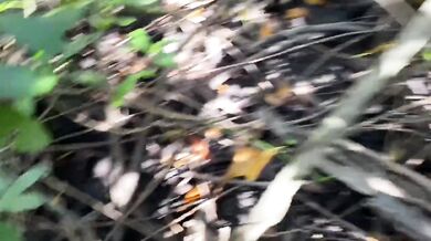 Filipina cumshot in pussy while sucking dick outdoors in risky public fuck