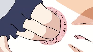 Anal Training with Kakashi and Nagatoro cumshot creampie hentai