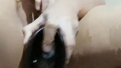 Creamy Pussy Destroyed by Big Dildo Creampie