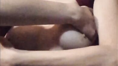 Frenches big tits solo POV titty play gush