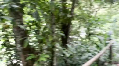 Tour guide gets her tight mouth ruined by thick cum in the wild