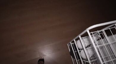 Wife came home late at night and asks for forgiveness with her pussy and mouth